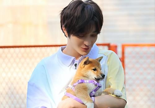  意料之中|少年之名微博粉丝：李希侃第2，胡文煊第3名，看到第一名，意料之中