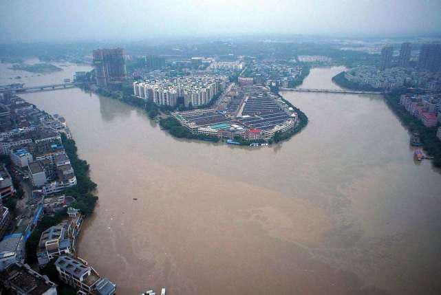 诅咒|一时嘴快诅咒的下场：被抓后自扇耳光求原谅，大呼“我卑鄙无耻”