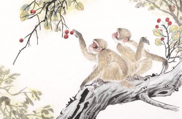 下旬|八月下旬喜鹊报喜，霉运尽消，能够心想事成的3个生肖