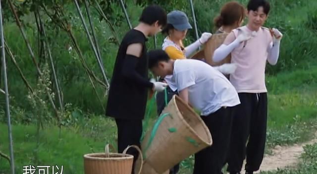 关系户|亮点不断!《向往的生活》迎来最强关系户,盼了三期,何炅终圆梦