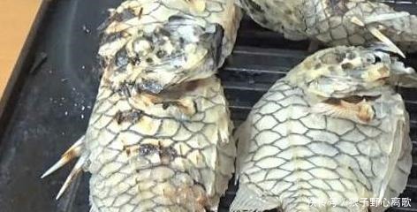 太难|这种鱼刀都拿它没办法,切不开剪不断,中国厨师一个法子就解决