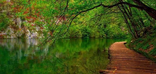  星座|没人理解，也不想表达，镇定从容的星座，哪怕再艰苦，也能熬过去