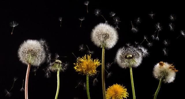  财源滚滚|谁家有这几个生肖, 灾邪不侵, 财源滚滚, 享福一生