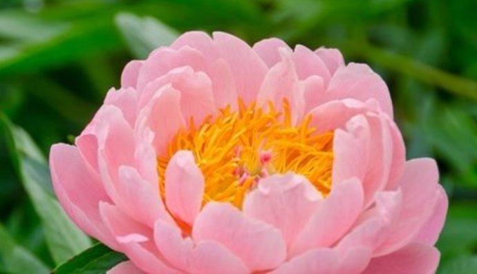  月底|8月底“财运爆棚”，贵人恩宠，家财满堂红的3生肖！