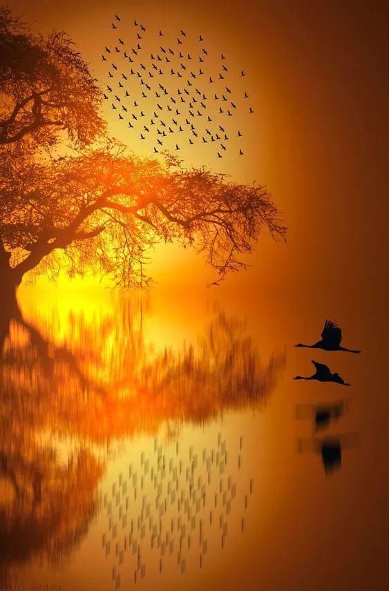 难得一见|奇妙风光，难得一见