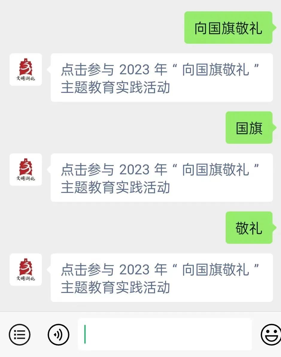 湖北2023年“向国旗敬礼”主题教育实践活动启动！