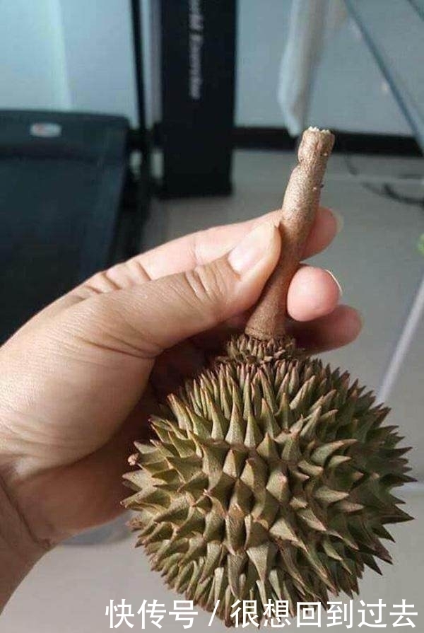 榴莲|在超市买回只有一只手掌大小的榴莲,剥开一看后,结果让人吃惊