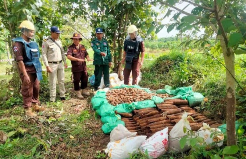 柬埔寨一学校2100枚未爆炸弹已全部被销毁