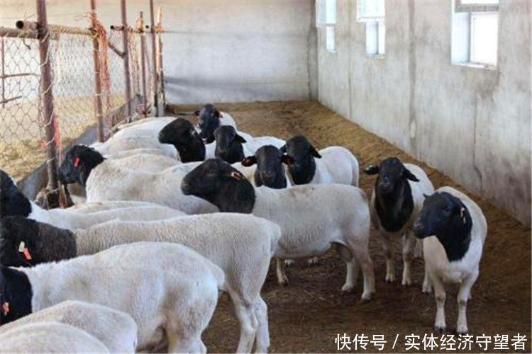云顶国际- 云顶赌场- 云顶娱乐城2022年有哪些值得的创业项目？docx