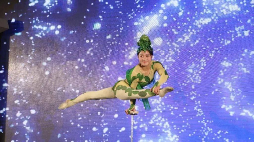  盐城|第二届大运河文化旅游博览会盐城文旅成聚焦点