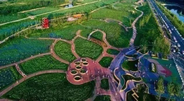 回来|宝鸡！我回来了！