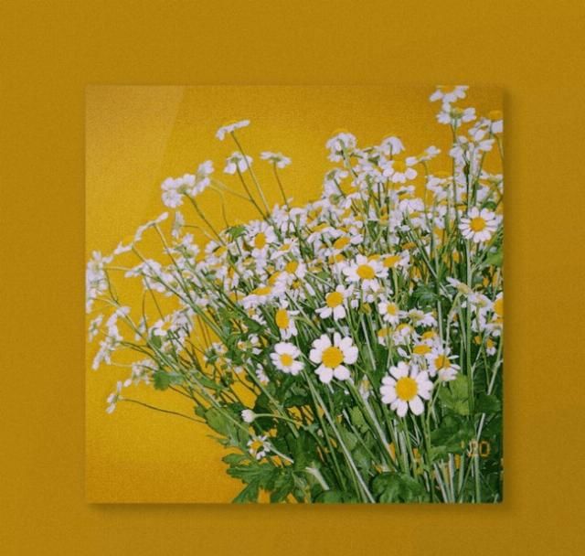  宿舍|“忍受了宿舍&合租生活后，我终于搬出来一个人住了”