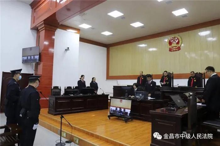 司人员滥用|判了！杨树军一审获刑十二年六个月！