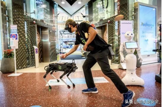 大规模MIMO|5G和机器学习：将蜂窝基站从智能变成天才