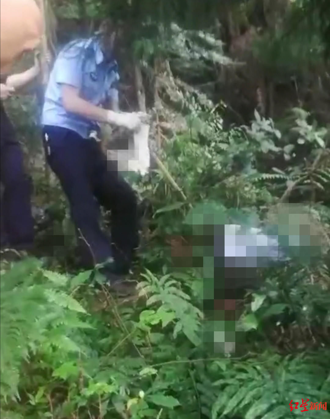  遗骸|峨眉山市一处山林间发现两具遗骸警方正在调查中