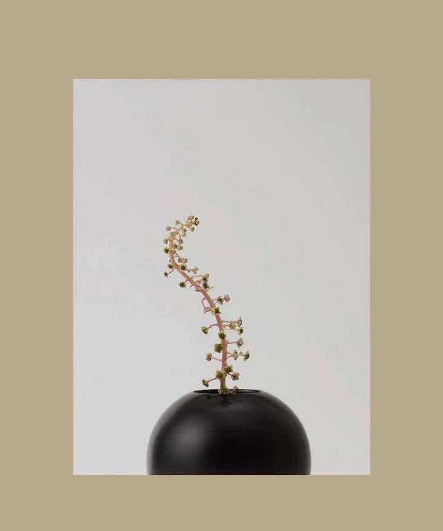  设计|“长得这么好看，花瓶就花瓶吧”