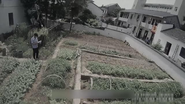 村民|浙江一家三口惨遭灭门，22年前的这起命案终于破了！凶手竟是…