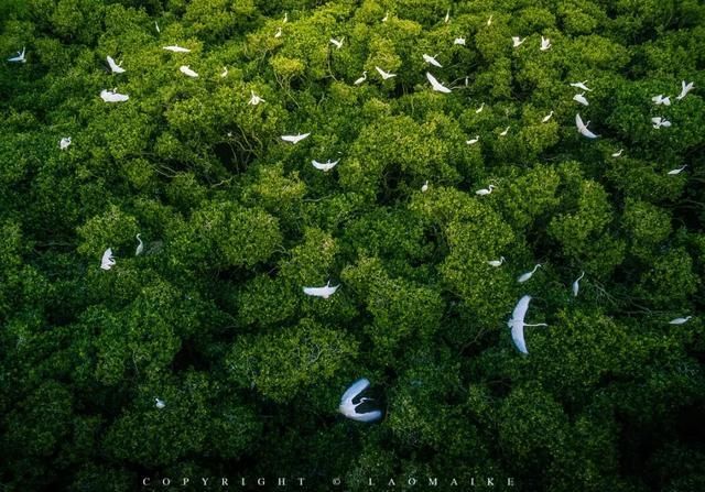 海中|中国这个美丽海滨！城在海中、海在城中，藏着绝妙生活却少有人知