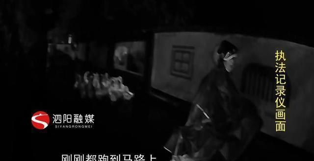  出走|大白鹅雨夜组团“出走”民警稳妥处置急寻失主