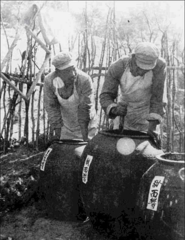 伙食|志愿军的伙食只有炒面就雪吗 其实不光有饼干油条 还有饺子啤酒