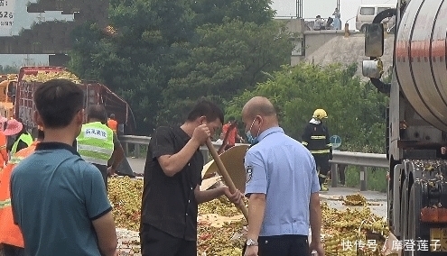  发生|高速公路两大货车相撞，30万个鸡蛋碎一地，货车司机损失惨重