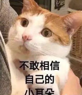 摆阵|男子占用高速应急车道烧香摆阵，只因其孩子……