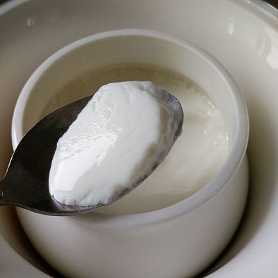 酸奶|水果原味酸奶