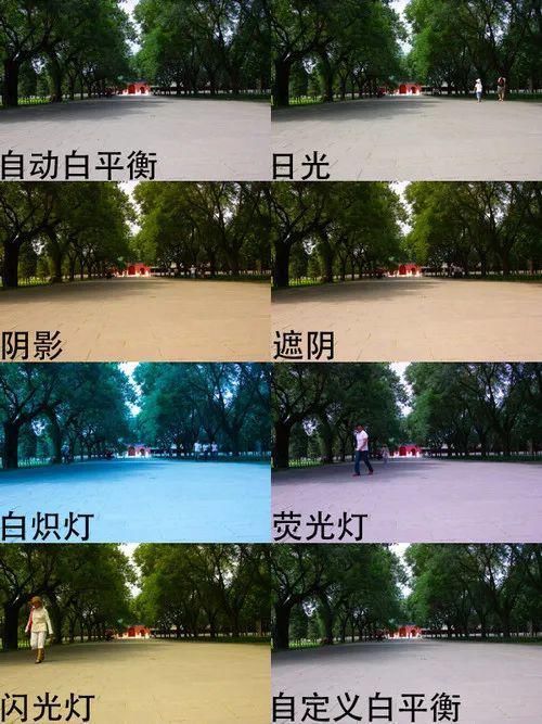  模特|【摄影讲评】顺光、侧光、逆光怎么用 第1268讲？