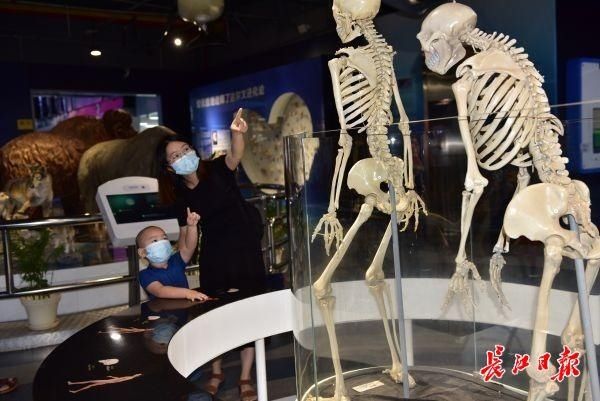  出行|“精确到一小时内，来了立即就办了。”预约已成武汉市民出行、办事新风尚