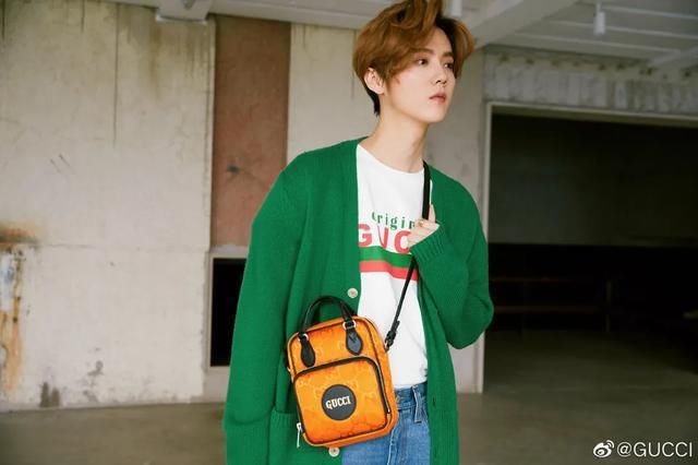  金晨|鹿晗、王一博、张新成、丁禹兮、金晨