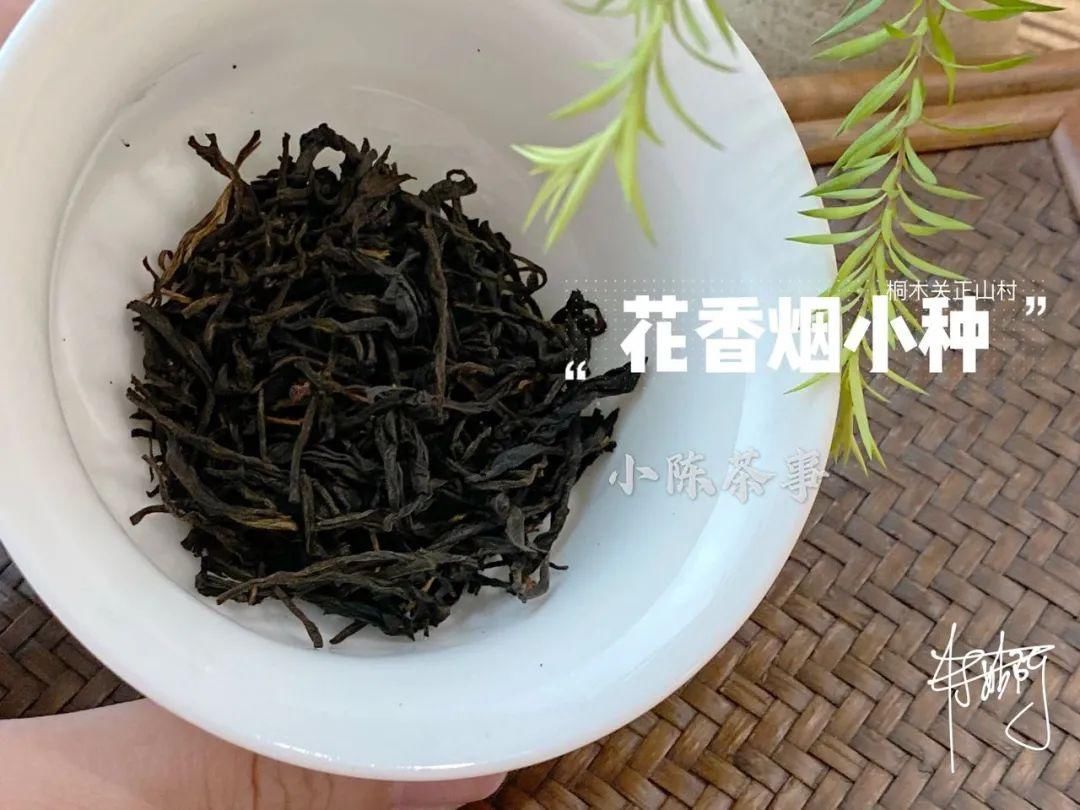 传统|从老丛红茶、烟小种到花香小种，这款红茶代表了传统小种的定义