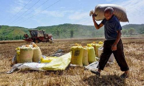  养老|专家建议“农民养老”，交过公粮却待遇却最低？有一点担忧