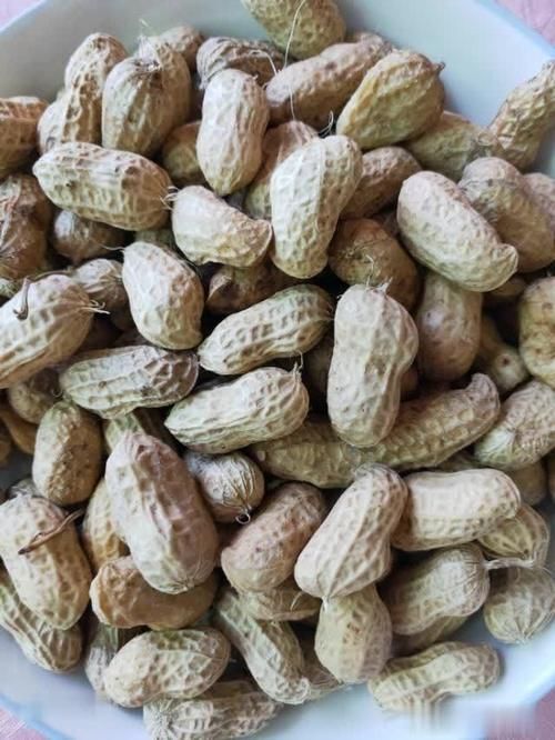 时令蔬菜|天气炎热,食欲不好,可以多吃一些美味的时令蔬菜