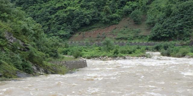 红盆|洪水爆发,母亲让狗坐大盆里儿子去趟水,网友:到底谁是亲生的?