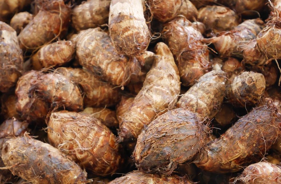 粉糯好吃|芋头挑不好,怎么煮都硬,教你5个小妙招,挑选优质软糯芋头