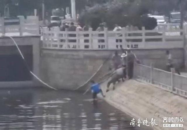  齐鲁壹点|东平好汉，久仰！全城寻找东平救人老大爷