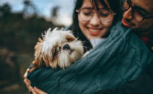 丁克族|30年前选择“丁克”的人，现在怎么样了呢？听听过来人的说法