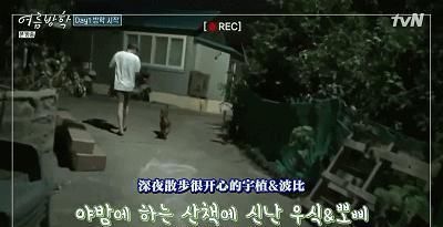  综艺|抛开抄袭风波，确实很治愈……