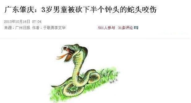  蛇头|被剪下头部的海鳗咬伤？听说过被蛇头咬伤，海鳗头咬人什么原因？