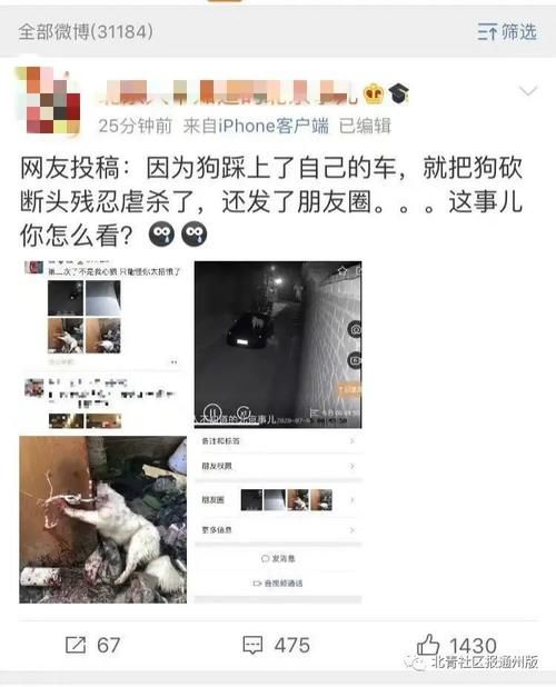  通州|通州“打狗”当事人联系本报致歉：失去理智打狗不对，希望能弥补