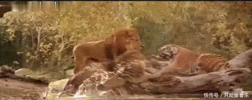 程度|十张境界高到一定程度的图片。