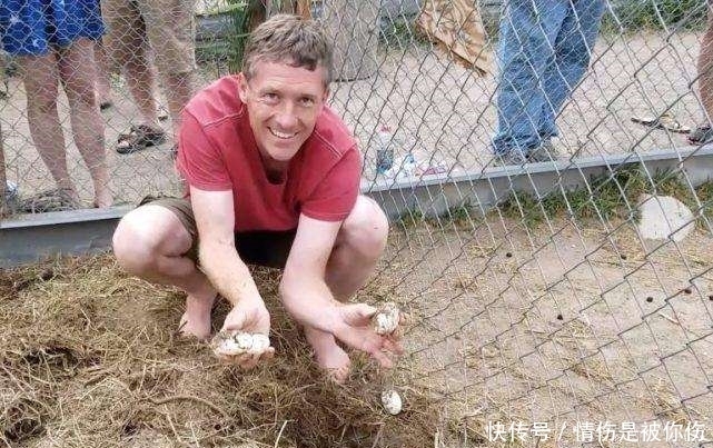 直呼|男子为取鳄鱼蛋扮超人壮胆, 网友直呼“超人VS怪兽”