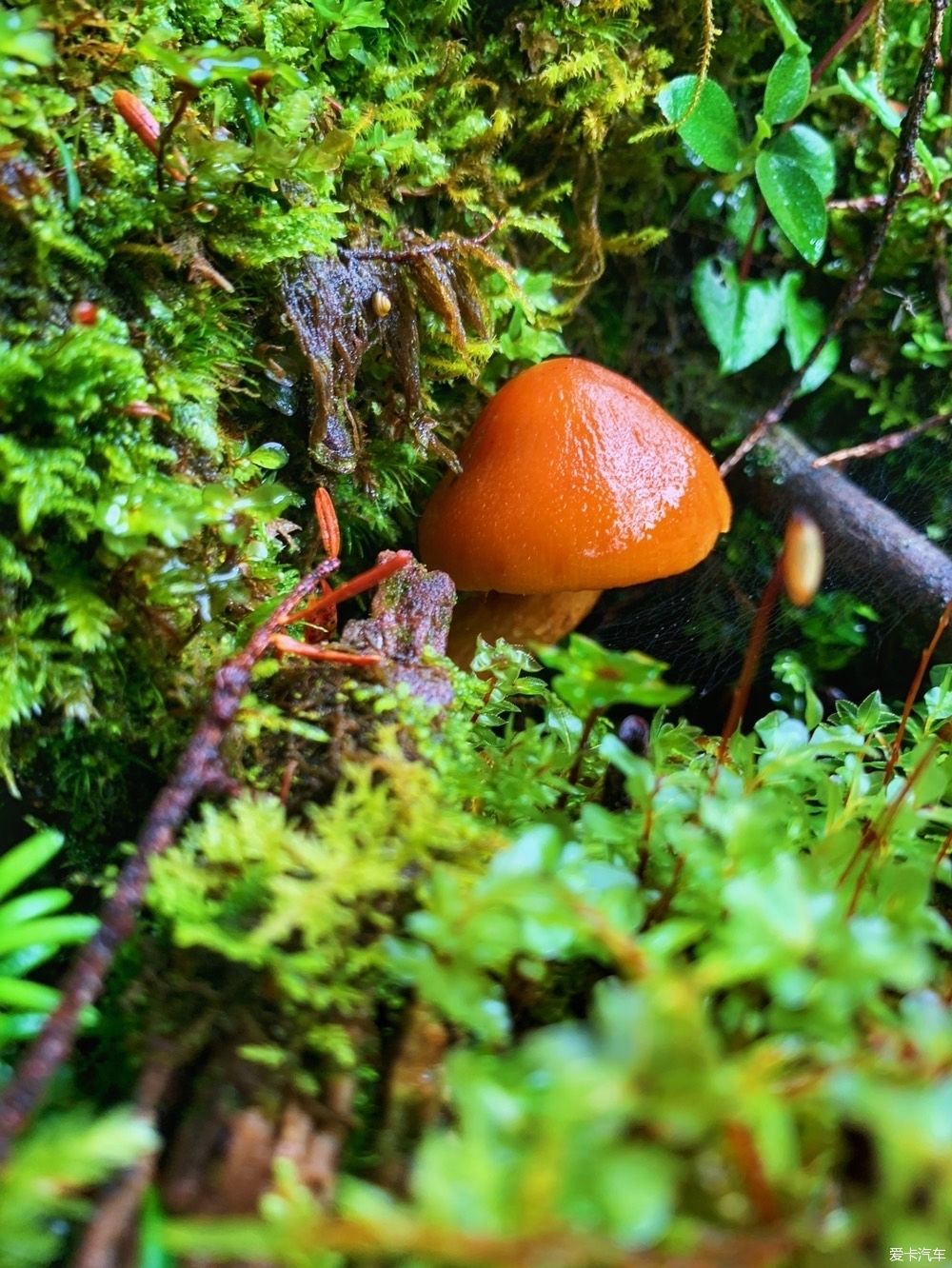  夏天|终于走了宝康线，夏天出行真是拼人品