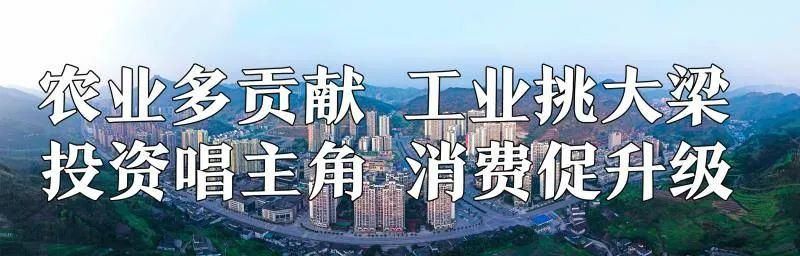 巡游出租汽|兴文正在严查！已查获87起！！