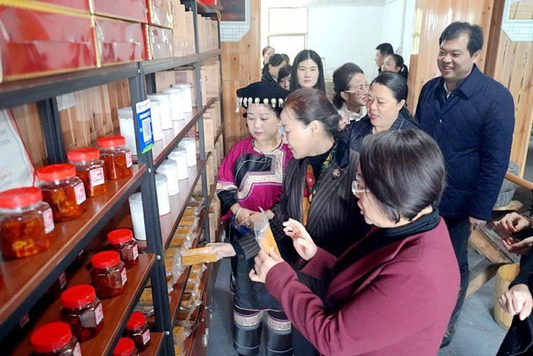 直播带货|省妇联来吉首市调研基层妇联组织改革工作