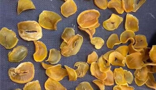 冬季|秋季,这菜正上市,才2毛多钱1斤,多买些一蒸一晒,冬季炒肉最香