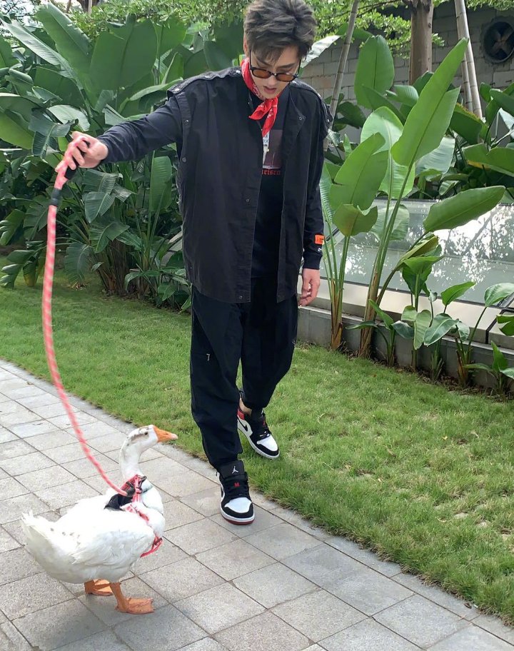  教导|《潮玩人类在哪里》路透，吴亦凡当街遛鹅，还教导鹅不要乱吃草