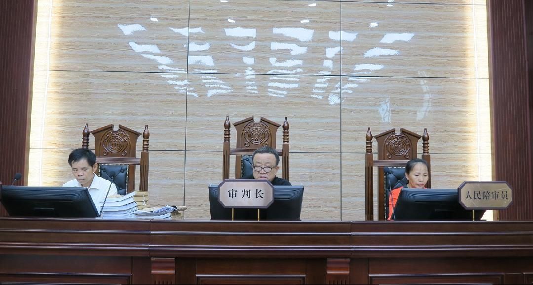 法院|西林法院公开开庭审理一起“民族资产解冻”犯罪案件