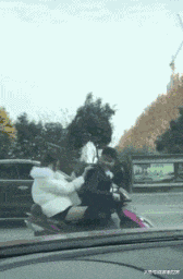 GIF|搞笑GIF:你怎么钻在这里面了!里面的水好喝吗?