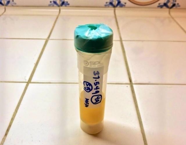 面包|4500年历史的酵母成功复活 重现古埃及风味的面包